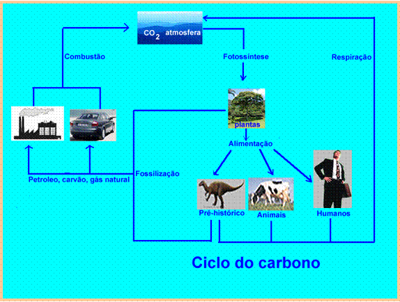 Imagem:Ciclo do carbono 6.png