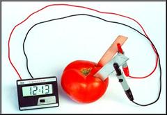 Tomato clock